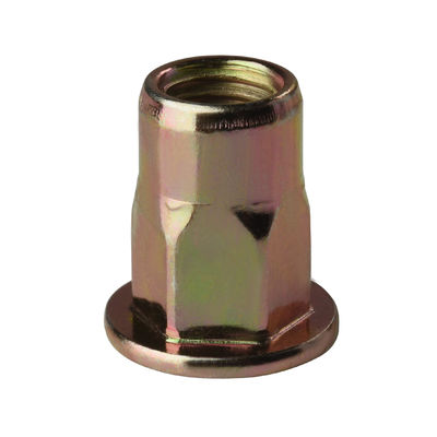 Plain Zinc Plated Hexagon Rivets Nut Flat Head Stainless Steel SUS304 ML08AL